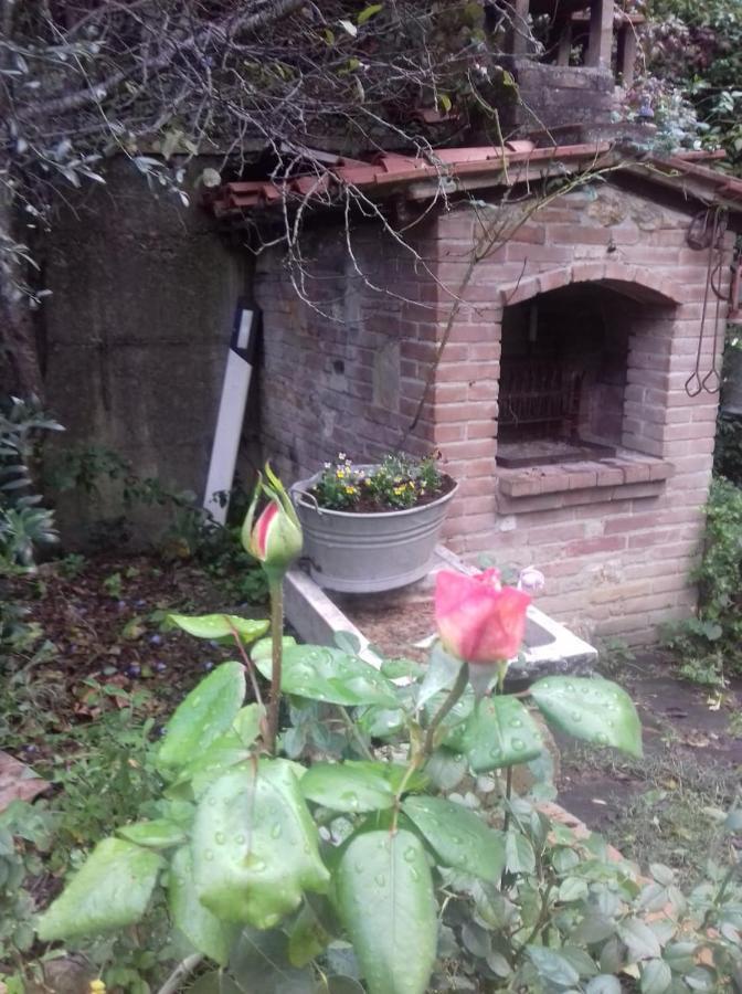Casa Patti Alle Porte Di 锡耶纳 外观 照片