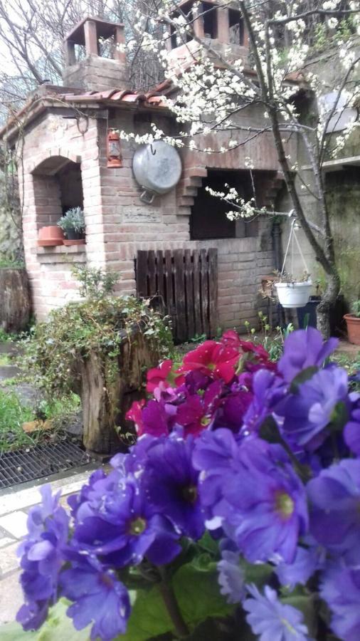 Casa Patti Alle Porte Di 锡耶纳 外观 照片