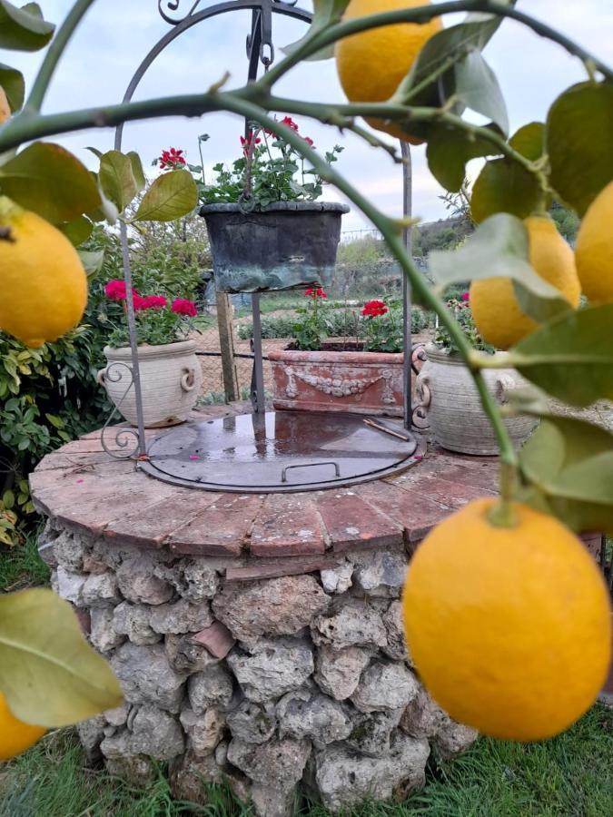 Casa Patti Alle Porte Di 锡耶纳 外观 照片