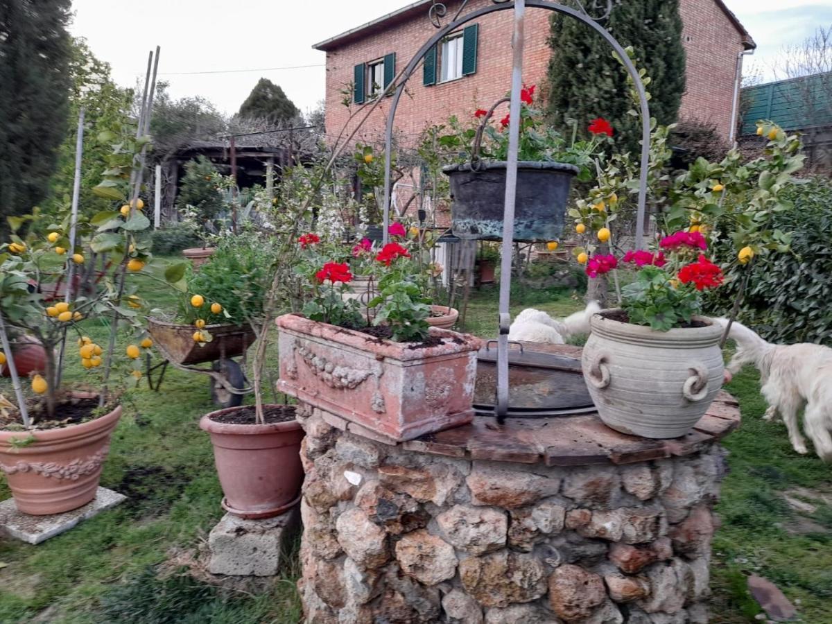 Casa Patti Alle Porte Di 锡耶纳 外观 照片