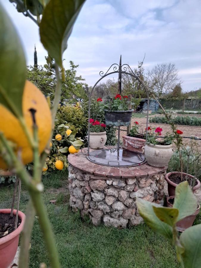 Casa Patti Alle Porte Di 锡耶纳 外观 照片
