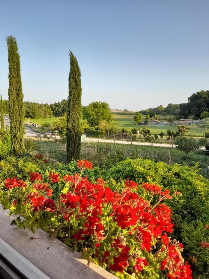 Casa Patti Alle Porte Di 锡耶纳 外观 照片